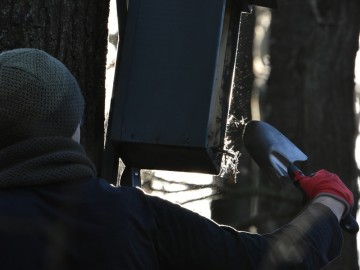 Czyszczenie budek lęgowych na terenie Parku Krajobrazowego Wzniesień Łódzkich, 